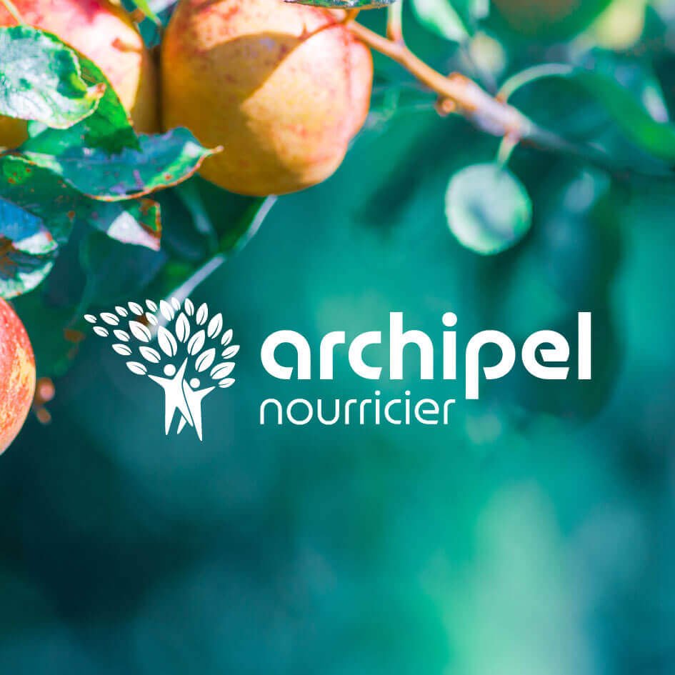 Identité visuelle et logo pour l’association Archipel Nourricier